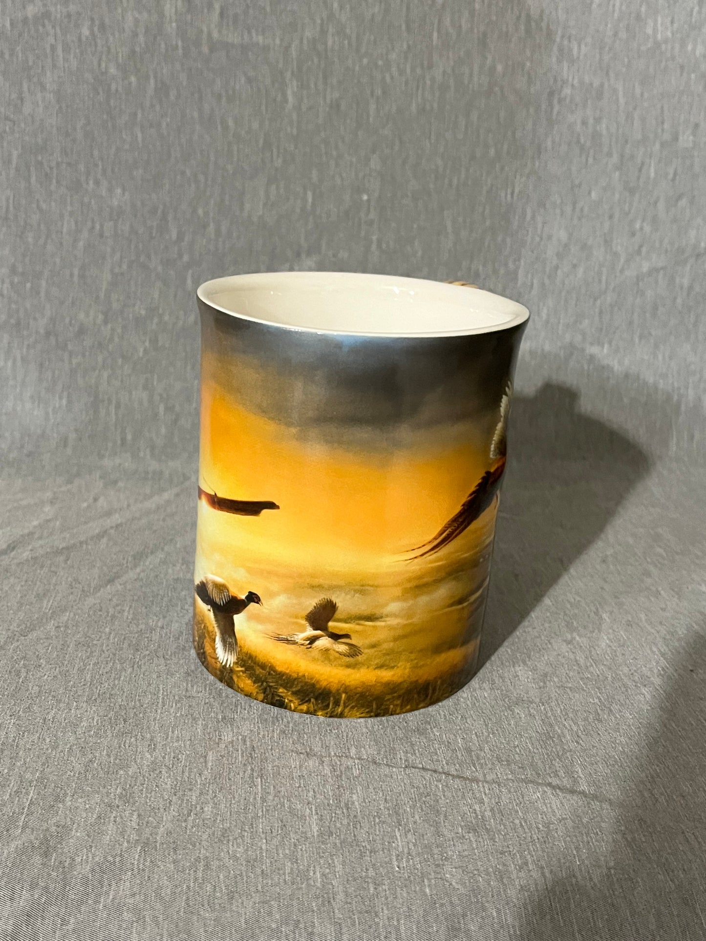 “Evening Surprise” Wild Wings Mug by Terry Redlion