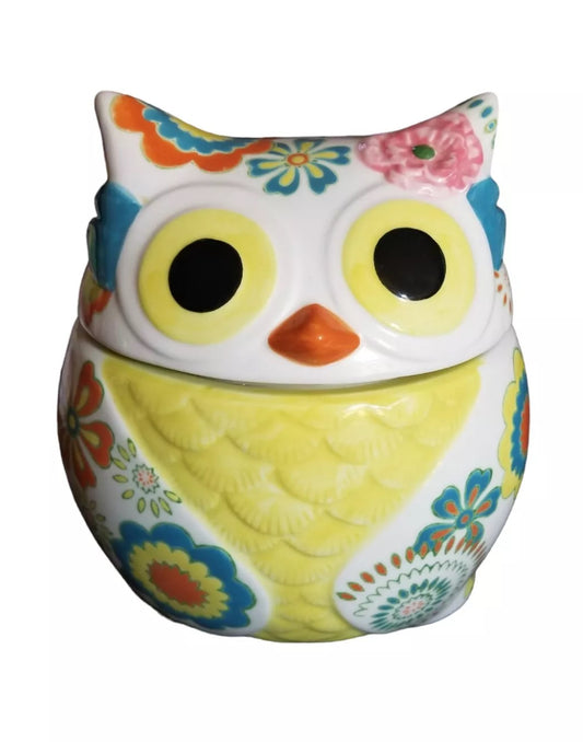 Pier 1 Imports Hand Painted Owl Cookie Jar 9.5” Tall