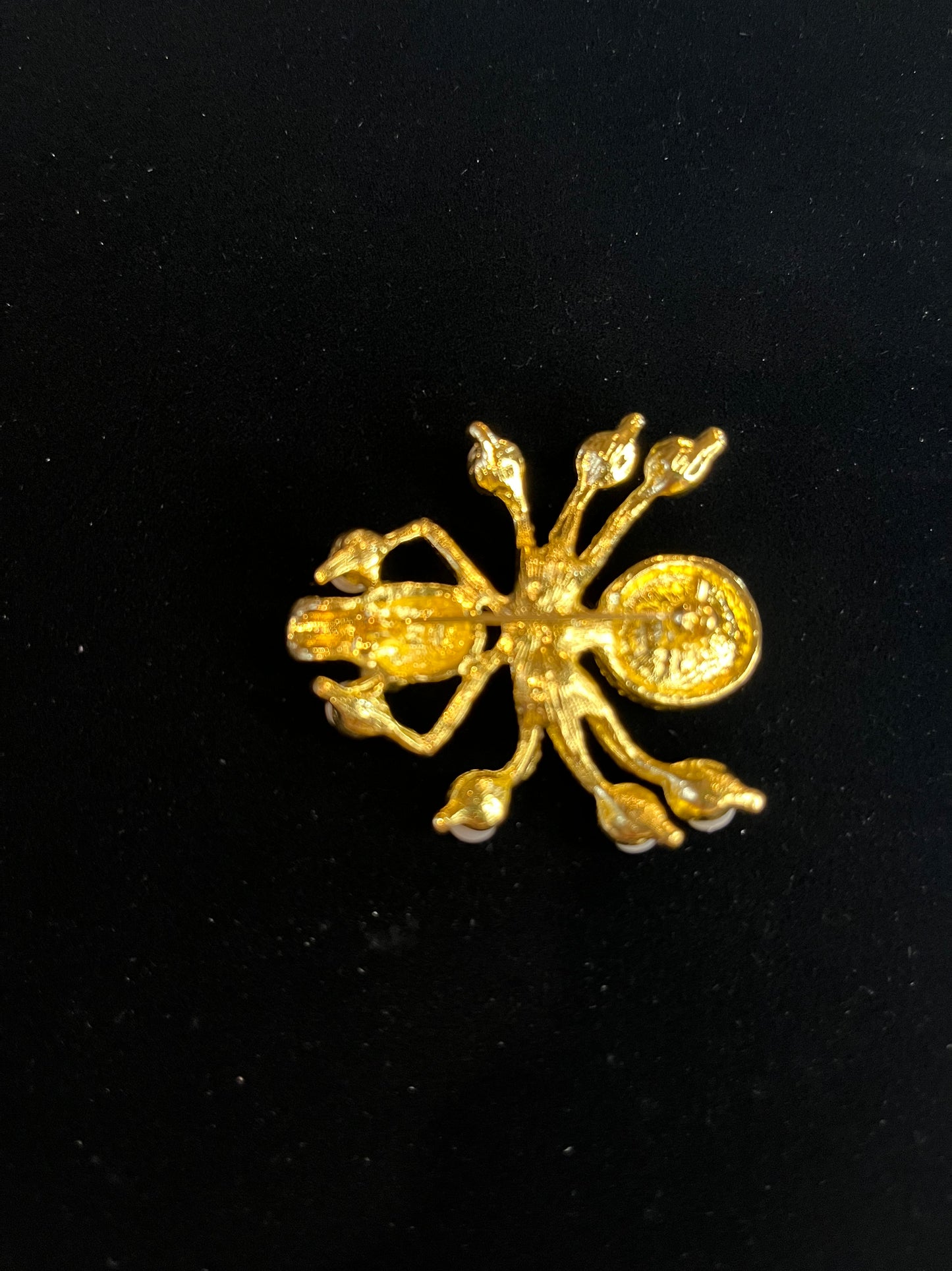 Golden Spider Rhinestone Skull Costume Pin