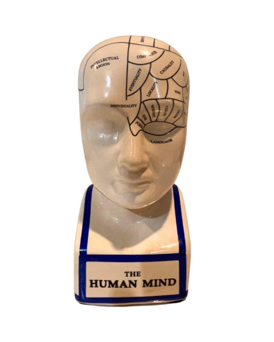 "The Human Mind"   Phrenology Brain Map Head Bust