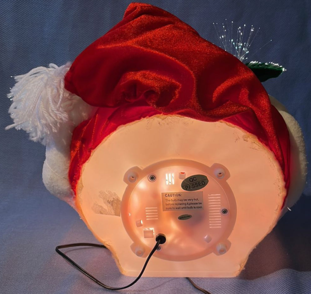 Fiber Optic Santa Head