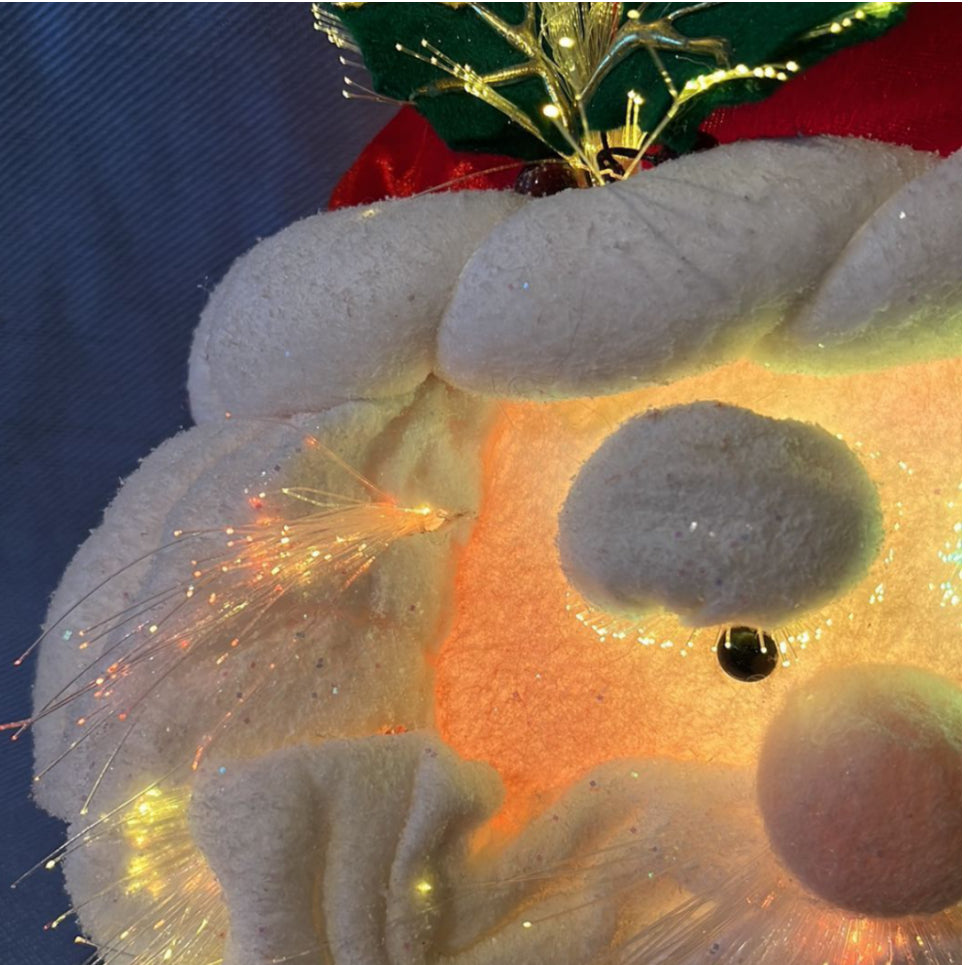 Fiber Optic Santa Head